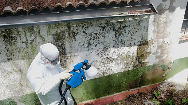 Top rated local Attic Mold Remediation specialists in Aberdeen, WA